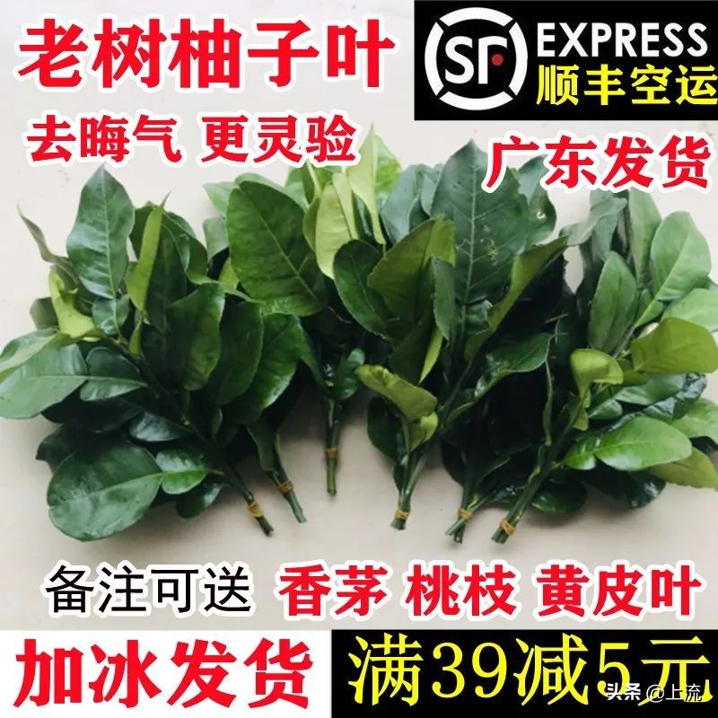 柚子叶洗澡是哪里的传统,柚子叶洗澡真的能转运么