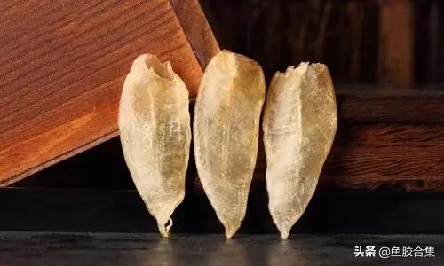 花胶的种类和区别,花胶一共有几种类型的品种