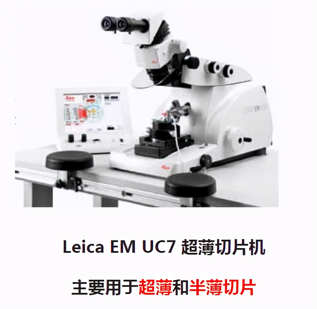 超薄切片教程,超薄切片制作