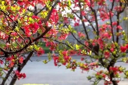 娌抽挗閭挗閾佽矾,娌抽挗閭挗楂樼倝