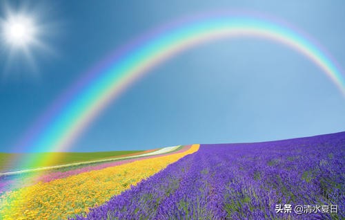 白岩松让孩子吃三种苦的育儿观,白岩松关于李振霞育儿的演讲视频