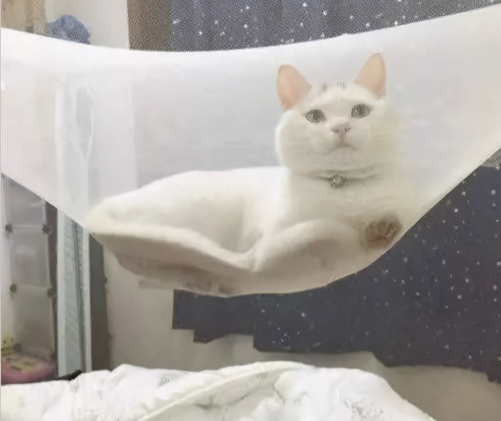 女朋友老喜欢看帅哥怎么办,女朋友总喜欢看帅哥怎么办