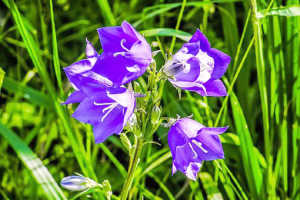 有深意的个性签名句句经典,个性签名经典语录精辟的短句