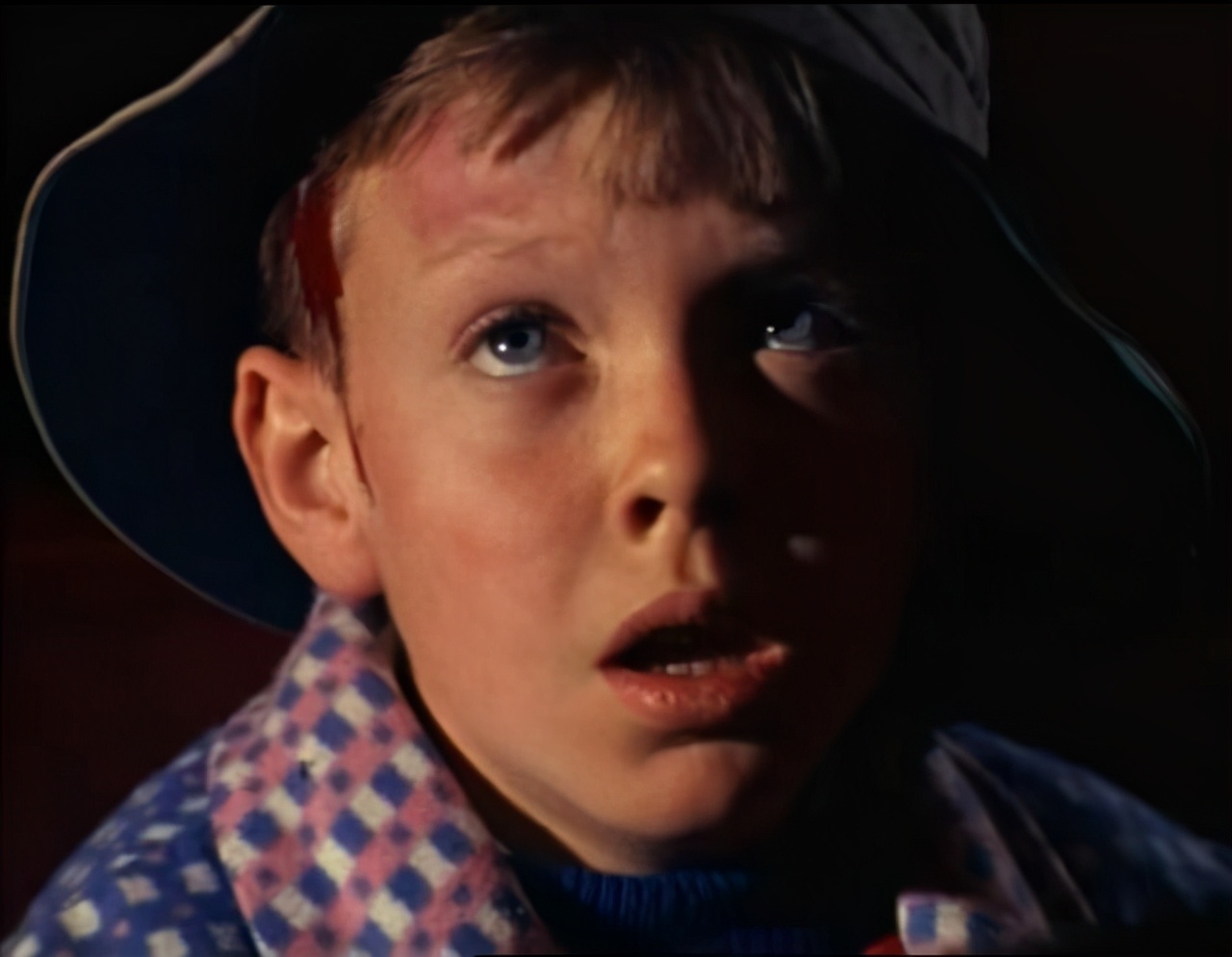 蛇咬蝎追，八岁男童如何在沙漠里生存三周？