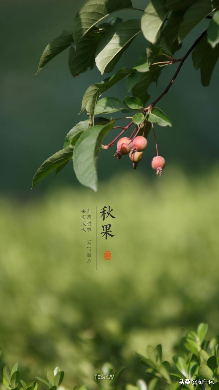 秋分一半热烈一半安详,秋分秋天分两半