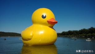 购买乐高积木小黄鸭教具,乐高积木教程小萌鸭