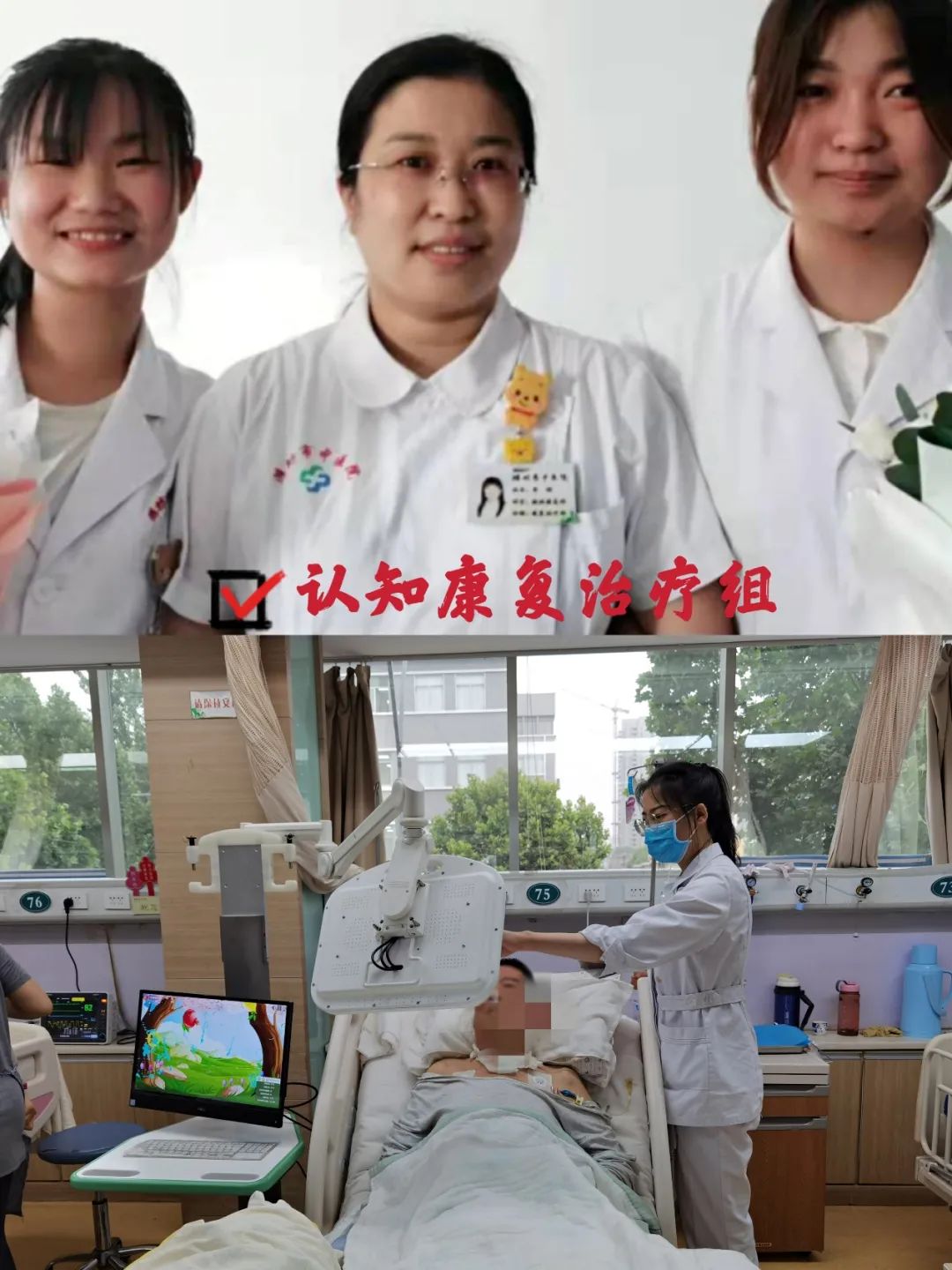 世界物理治疗大会,世界物理治疗师日有哪些活动