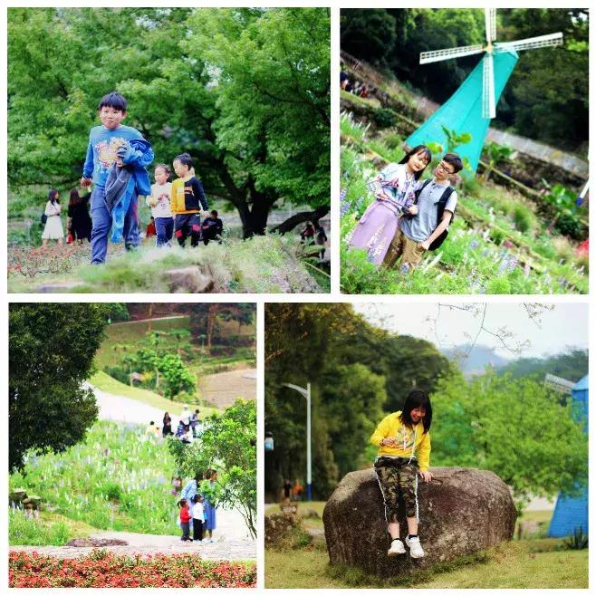 广州自驾团队,广州团队定制旅游