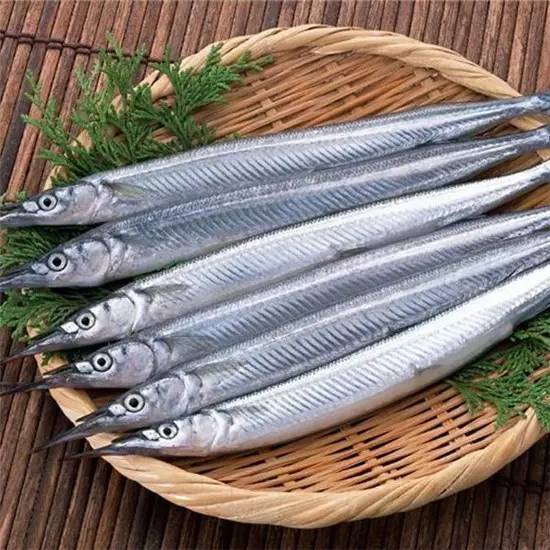 渤海湾野生海鲜图片,渤海湾海鲜为什么好