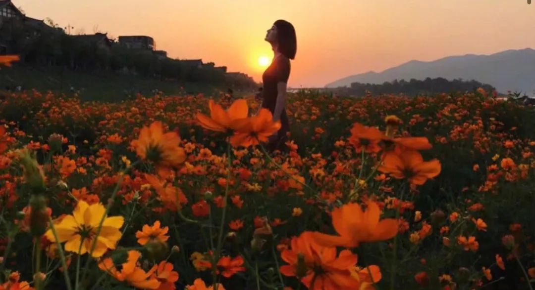 戴口罩的冬天太漫长，差点忘了中国的春天有多美