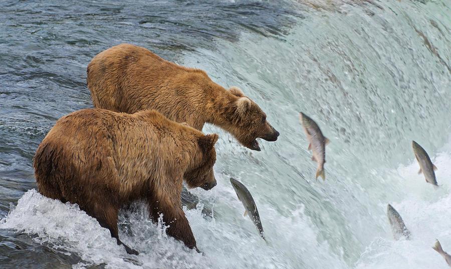绦虫是怎么繁殖的,绦虫为什么会寄生在人类身上