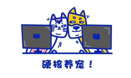 猫突然猝死有先兆吗,猫多久不会猝死