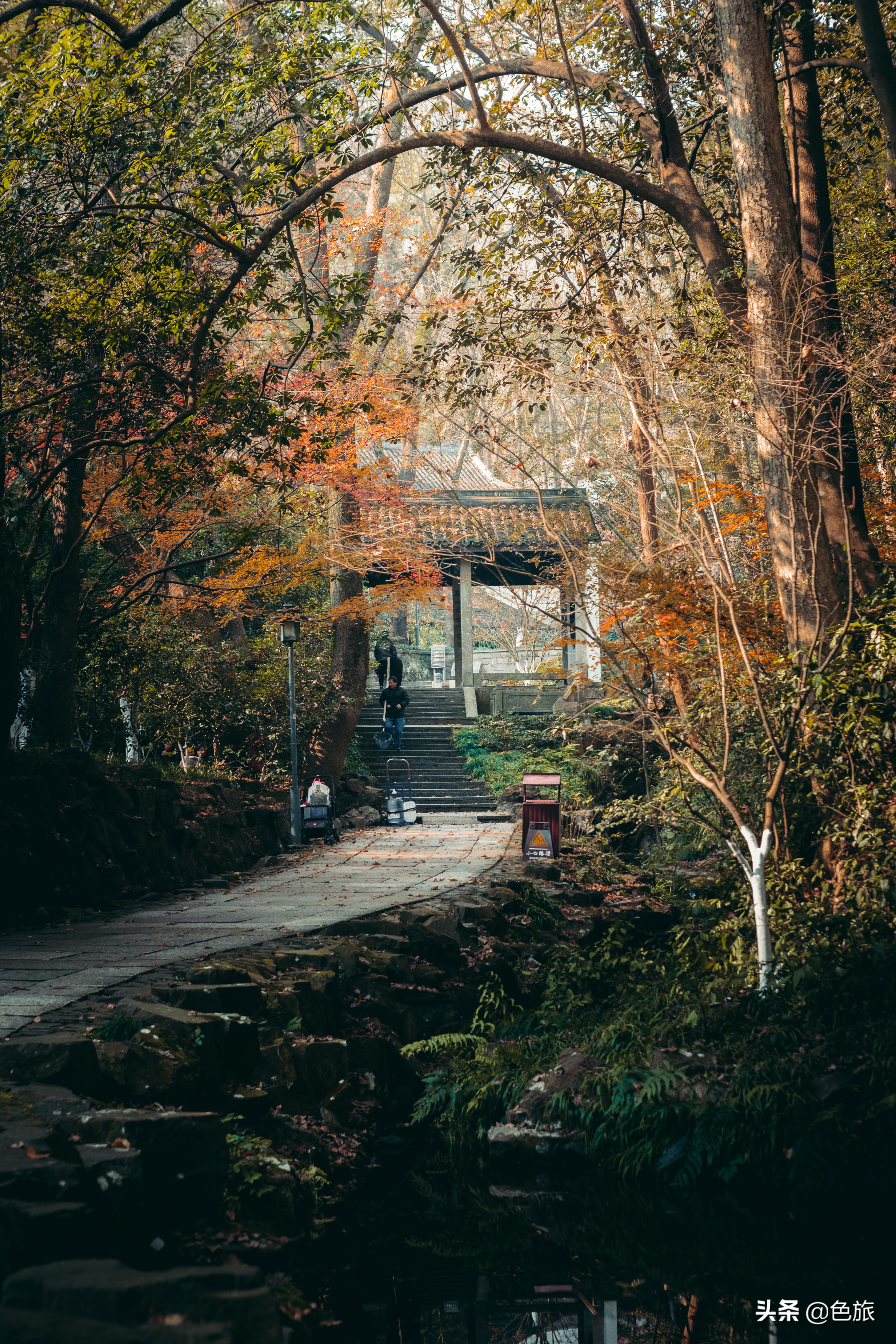 逆水寒游历虎跑梦泉怎么出葫芦,杭州游玩虎跑泉