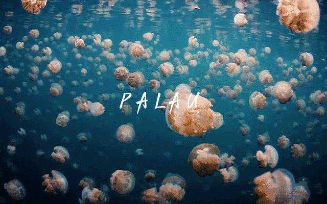 此生必去最美的地方,此生必去的四个海