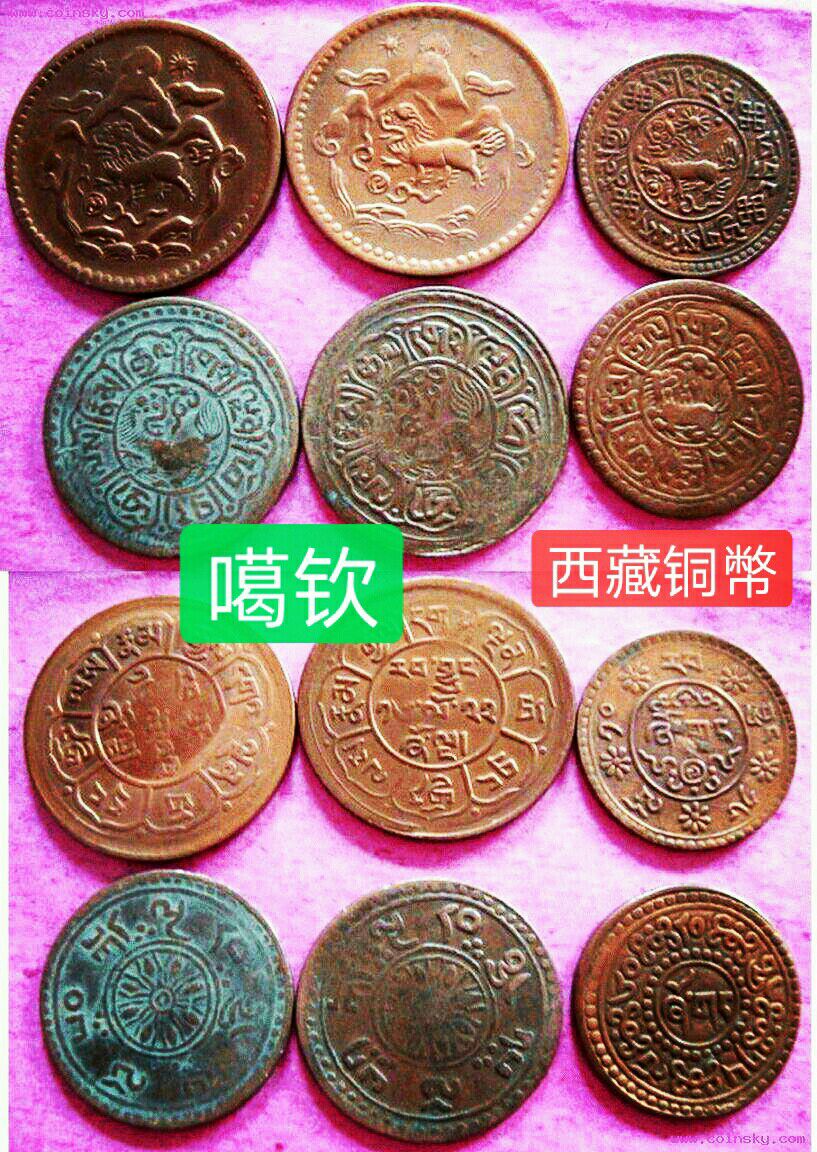 【原创】当年万金购七头藏獒!藏友说是狮子图案？真是一头雾水!