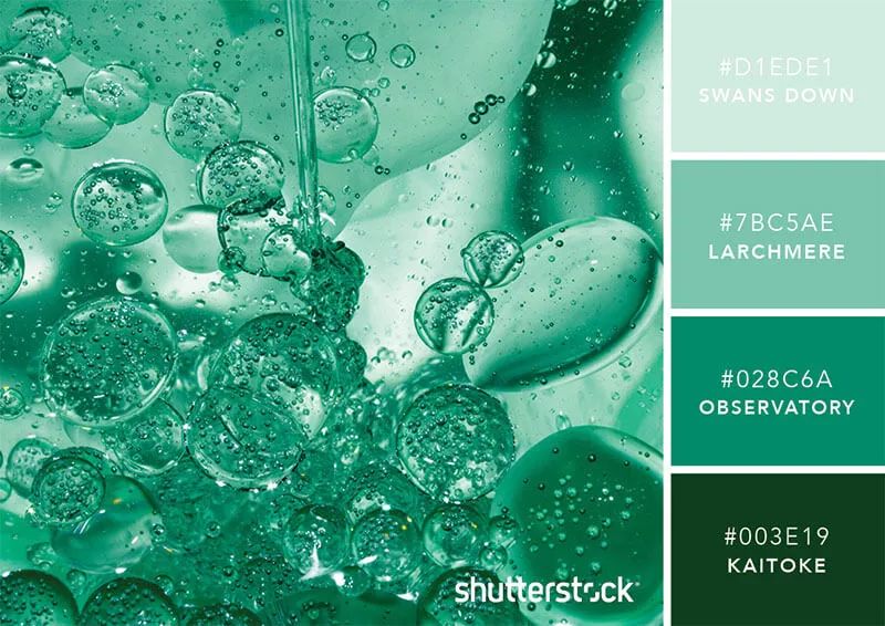 色彩搭配个人形象设计,色彩搭配都是业主亲自选择