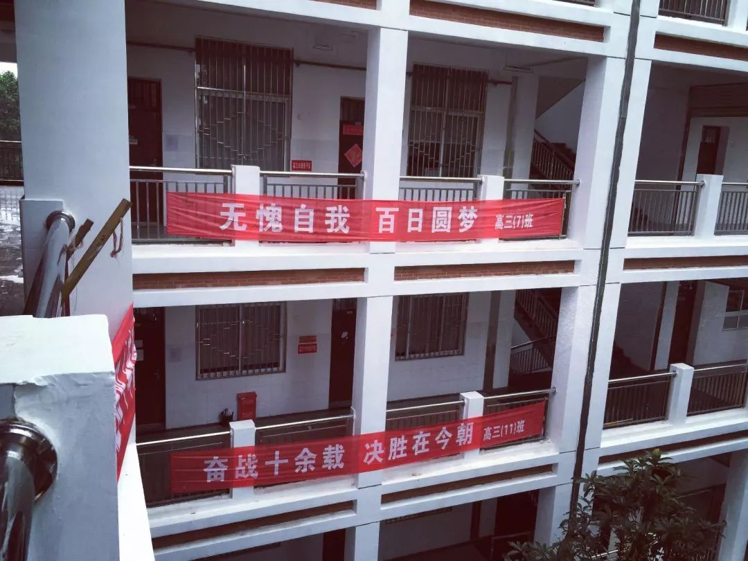 我的青春叫：武汉汉西一路农夫山泉袁隆平中学