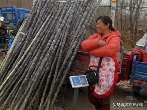 冬季赶农村大集卖什么最挣钱,农村大集什么最赚钱