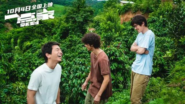 票房惨淡的高分电影有哪些,票房高口碑差的烂片