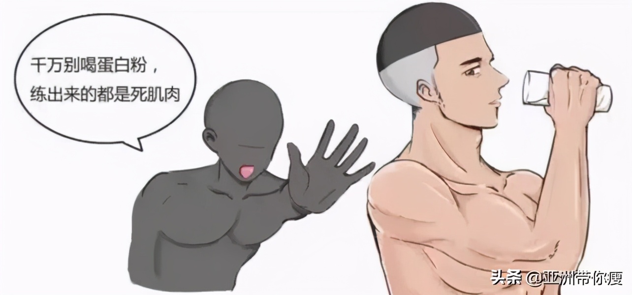健身补剂只喝蛋白粉,新手健身怎么选择蛋白粉