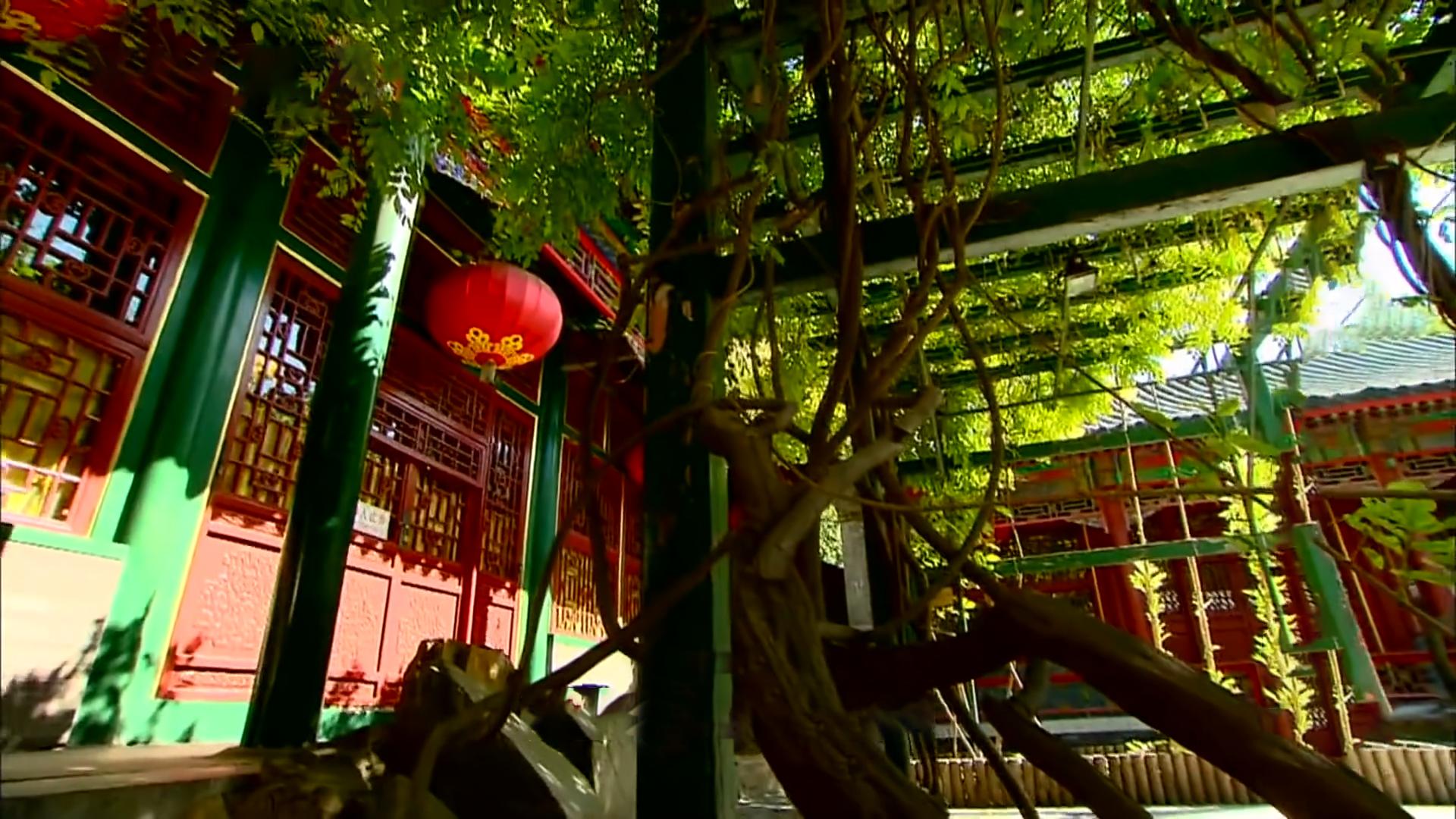 花2亿建的11层豪宅,最贵13层私人豪宅