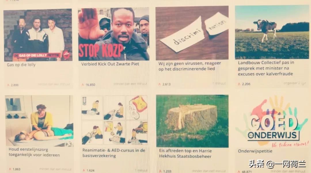 荷兰华人网上*愿请**真相如何？“五万多签名？我看到只有两千多！”