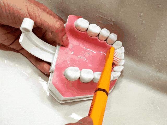 李沁以前采访,李沁被误解的真实故事