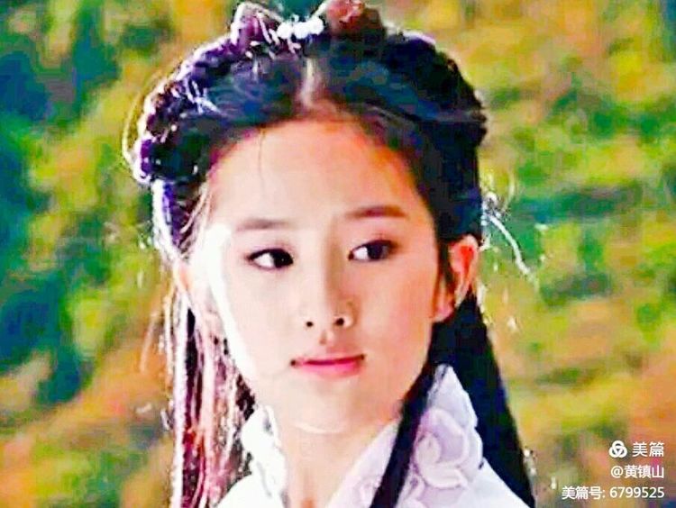 *镇黄**山：12世21位帝俊族徽四鸟绕日