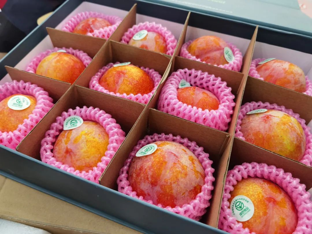 营口市特色农业项目,特色农产品名单大全