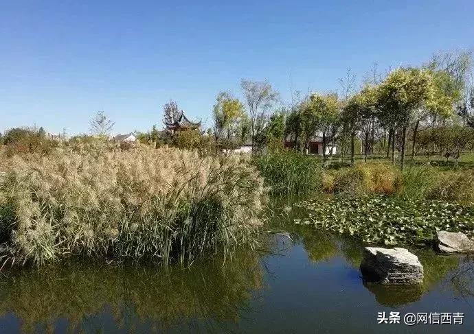 水西公园景观节点,水西公园板块规划