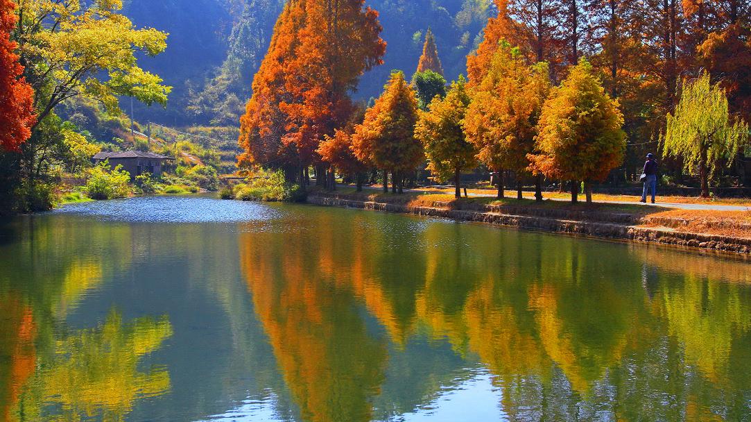 中国绿都最氧三明,中国最氧三明花海