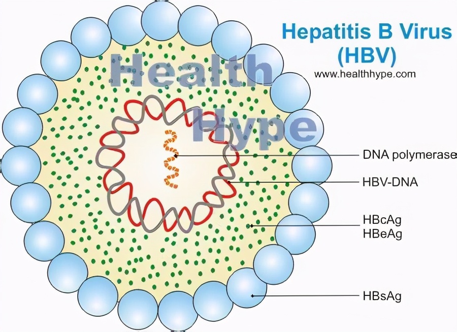 乙肝小三阳患者需要打疫苗吗,乙肝小三阳抗病毒标准是什么