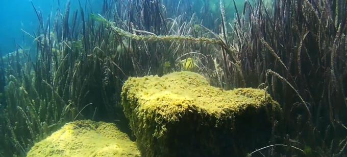 2001年抚仙湖水下古城真实视频,罕见的湖泊风光摄影