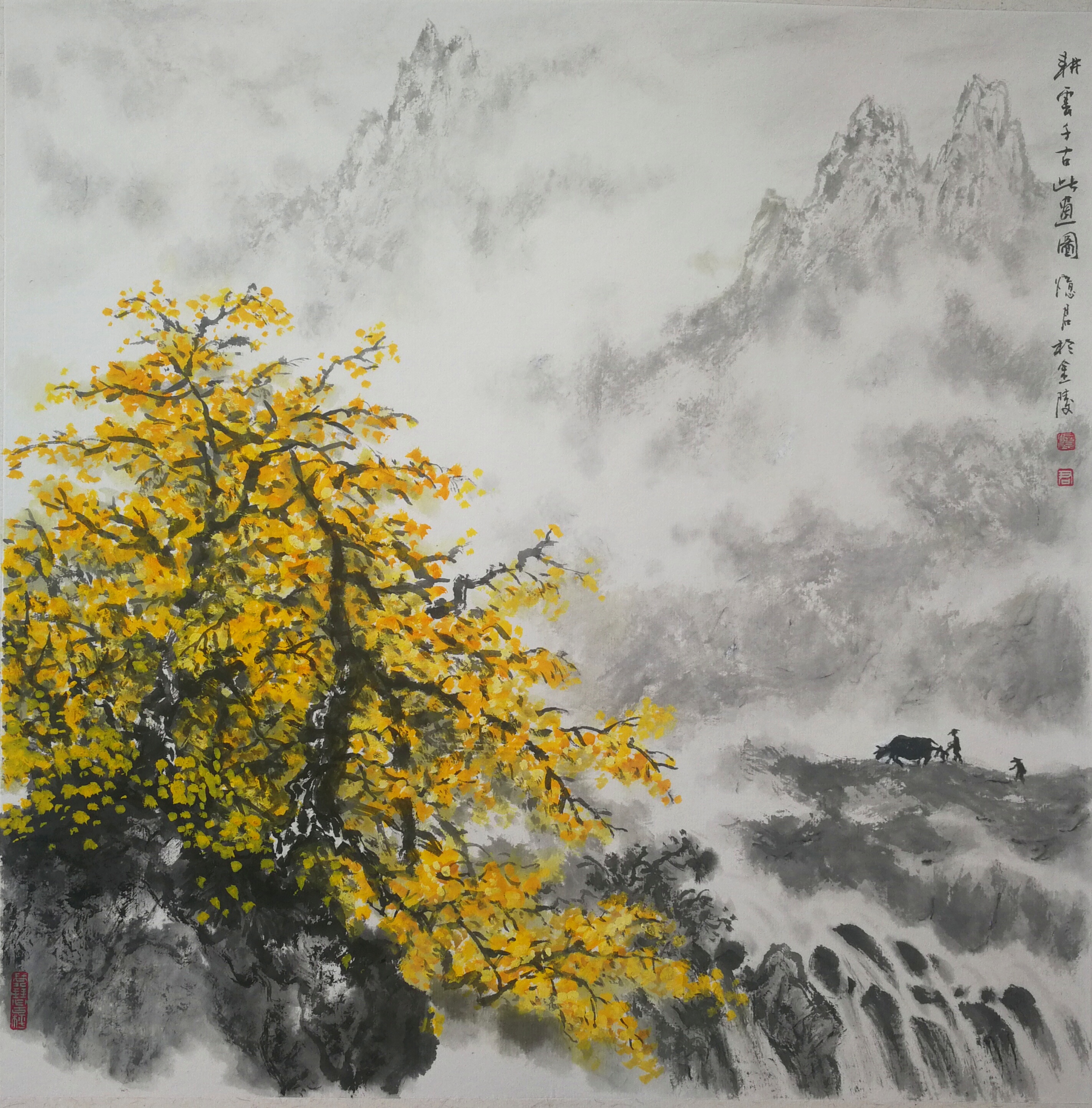 忆君银杏作品欣赏,忆君银杏画