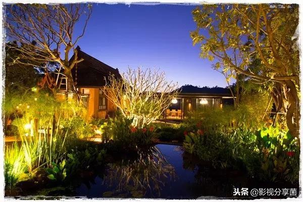 男女主双颜值在线的番,男女主双商都高的电视剧