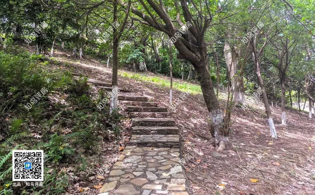 坐拥35公顷水域的横圳水库的虎门丰泰裕田，究竟好在哪里