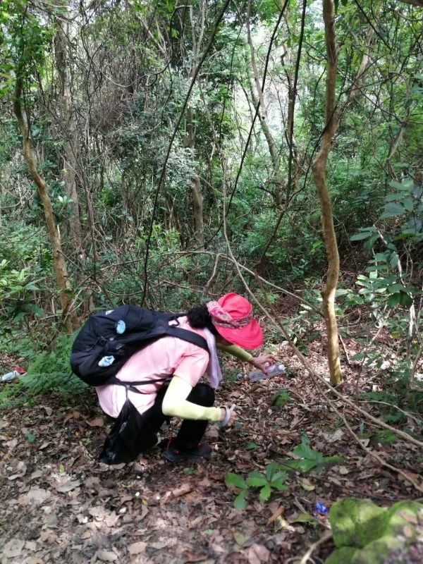 实干是什么意思,实干才是真谛