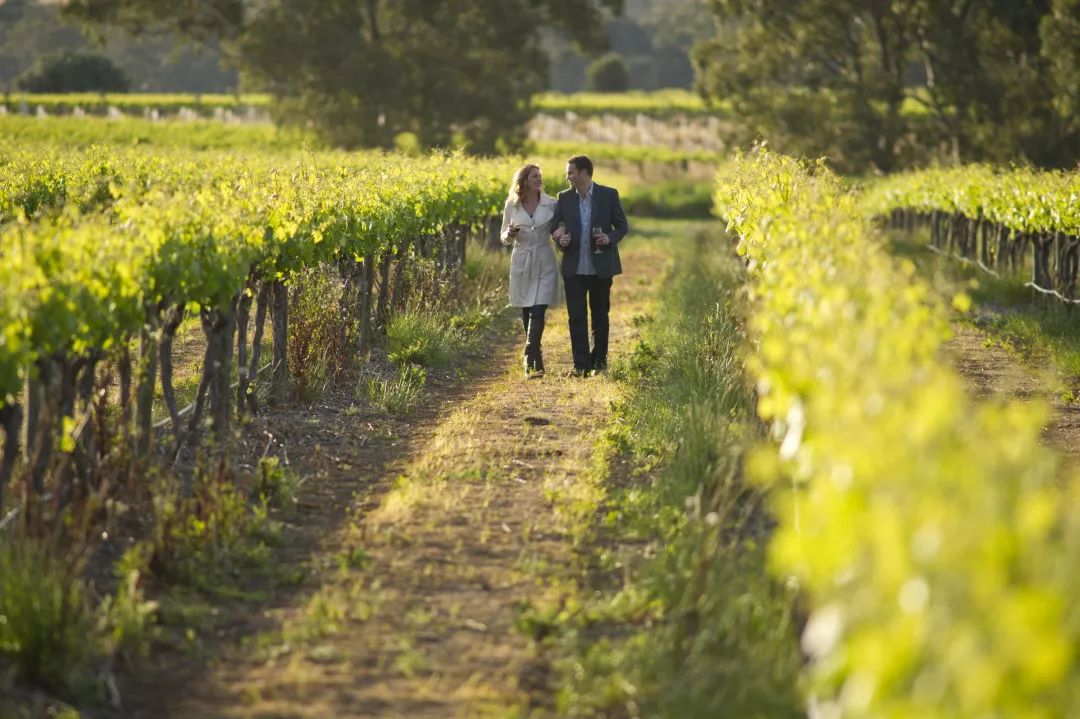 澳大利亚游的最佳线路,澳大利亚旅游攻略10天线路