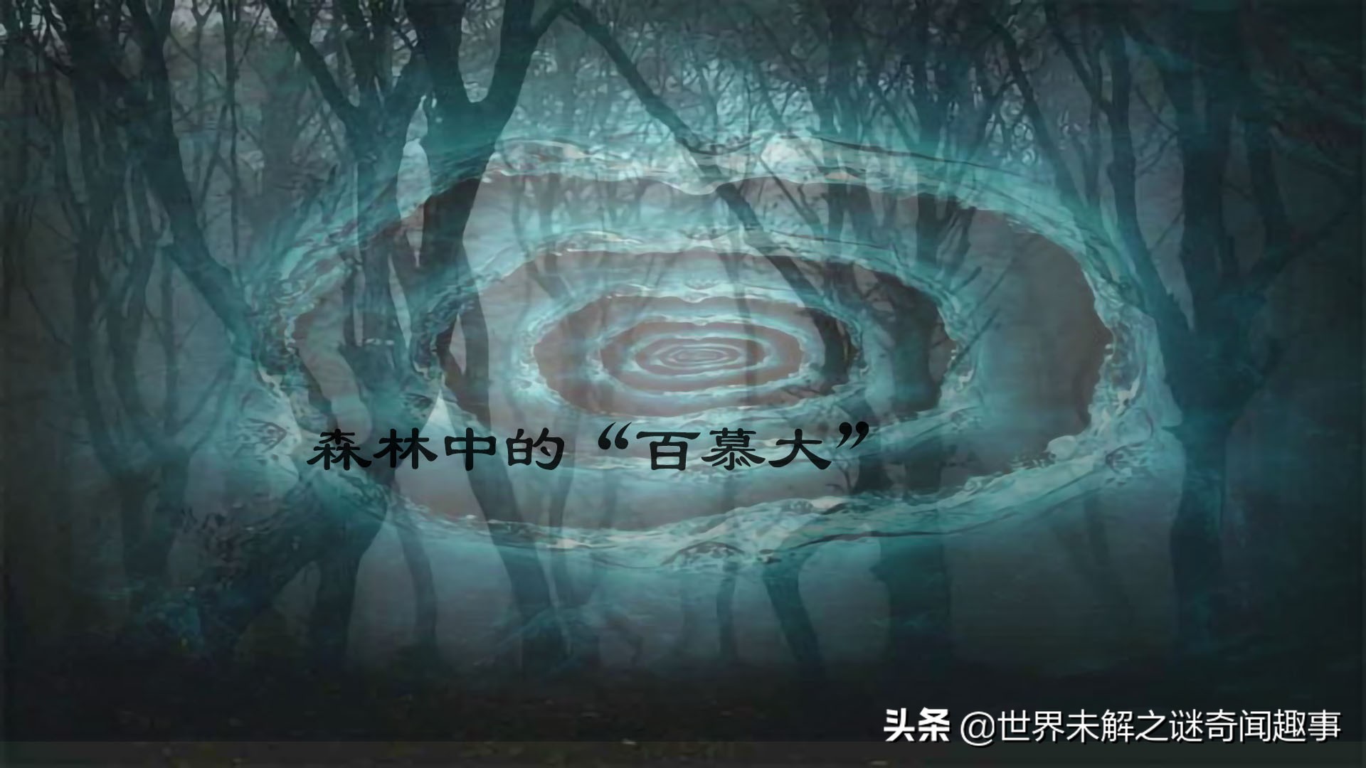 为何霍亚森林没人敢进？女孩无意闯入消失5年，称里面有时空之门