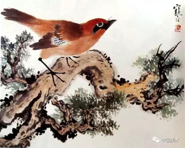 禽鸟画教程,最简单的禽鸟画法