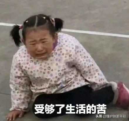 凌博士水乳适合混油皮吗,混油皮公认最好用的水乳