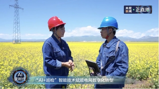 新疆电网乌鲁木齐,乌市国家电网