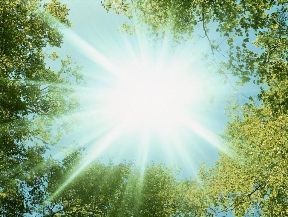 散文清明情思,散文端午情怀