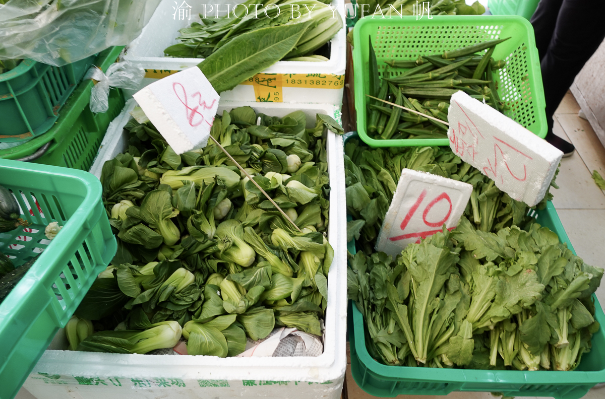 闲逛老店林立的澳门十月初五老街,菜市场的菜价有些出乎意料