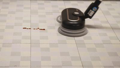 一口气丢了6个鸡肋拖把，我终于收获了舔地级干净