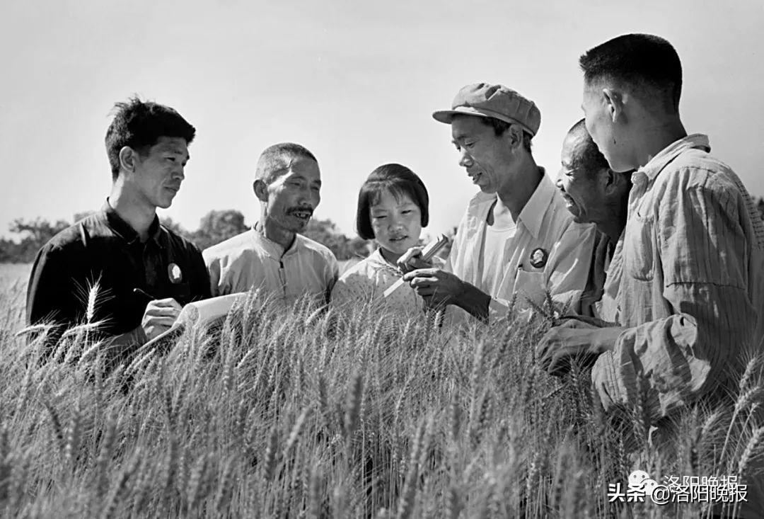 一分钟看河南洛阳,一日看遍洛阳