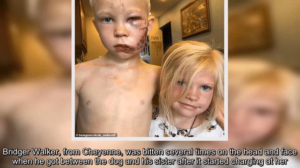 三岁小女孩救爸爸,三岁小女孩救哥哥