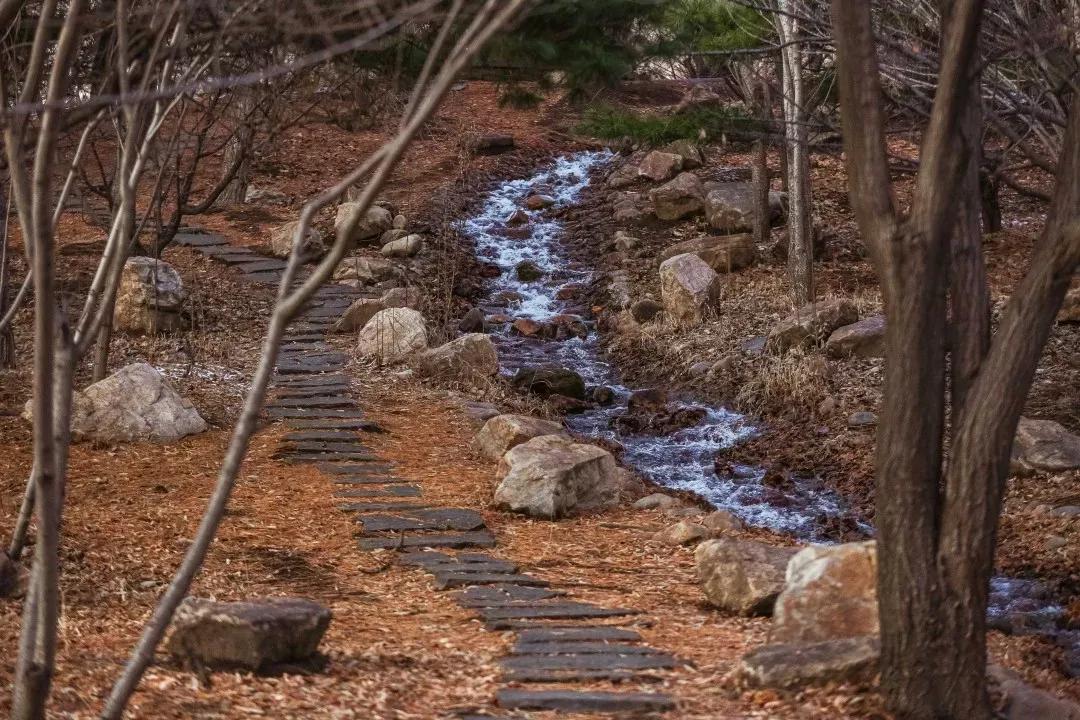 沈阳航空航天大学在辽宁省的地位,辽宁省沈阳航空航天大学在哪个区