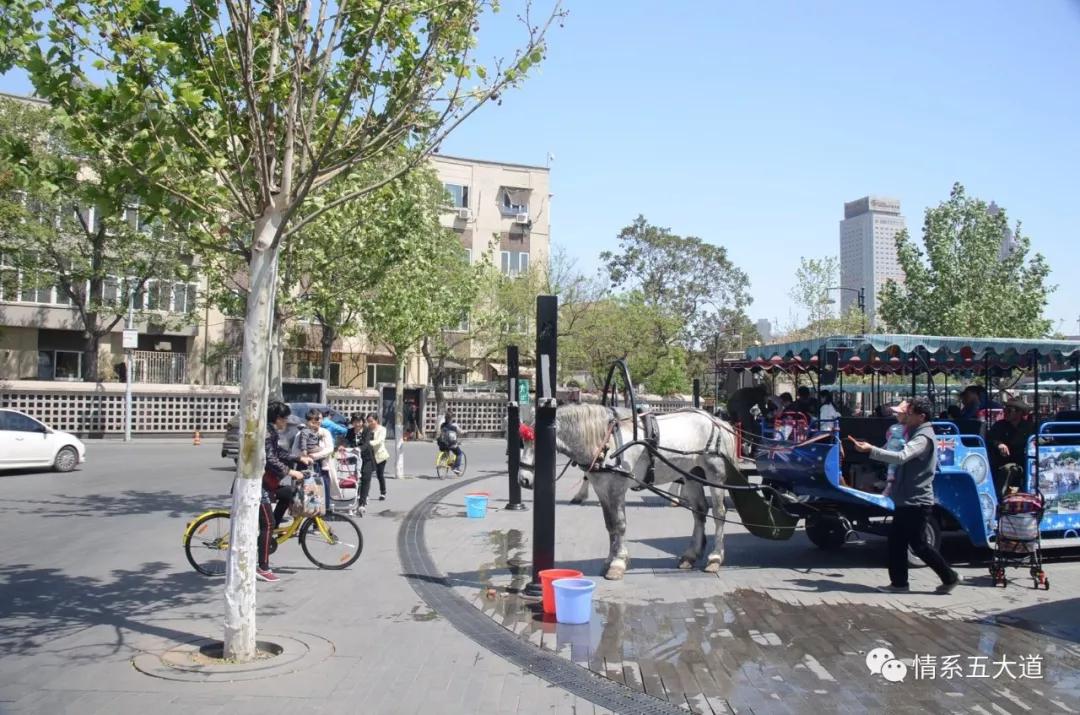 五大道天津历史文化,五大道医学