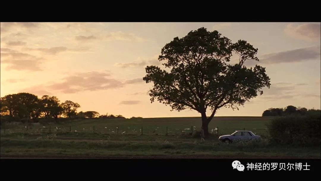 心理学论文,心理学对人的影响论文